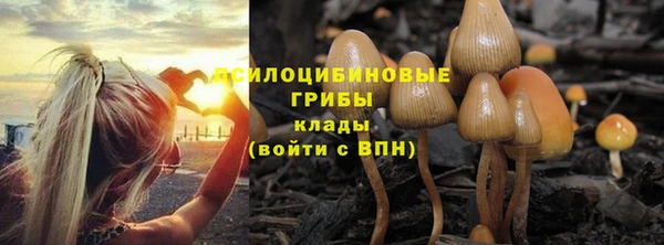 метамфетамин Лабытнанги