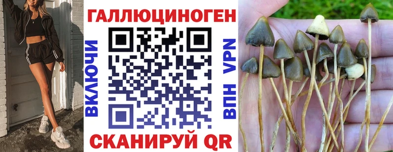 купить наркотик  Архангельск  Галлюциногенные грибы Psilocybine cubensis 