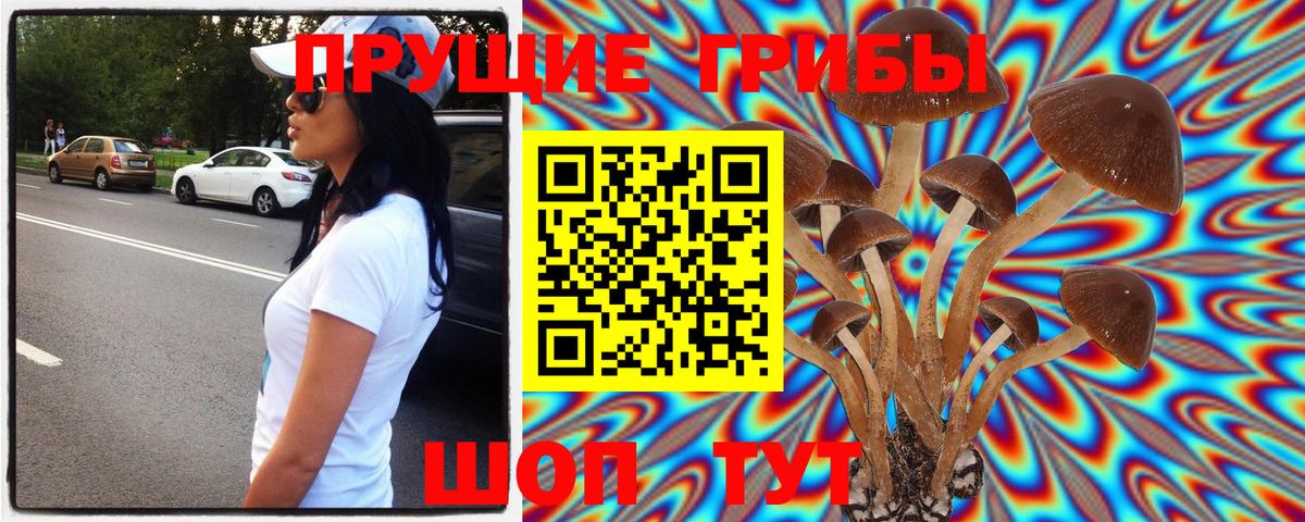 Галлюциногенные грибы Cubensis  Архангельск 