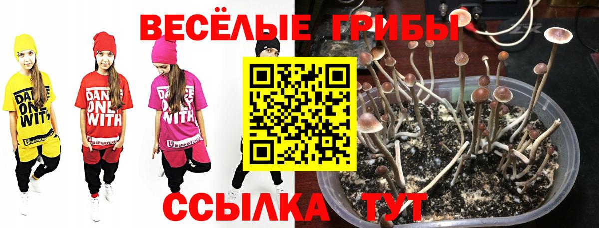 Архангельск  Галлюциногенные грибы мухоморы  Вход с VPN  Псилоцибиновые грибы Cubensis 