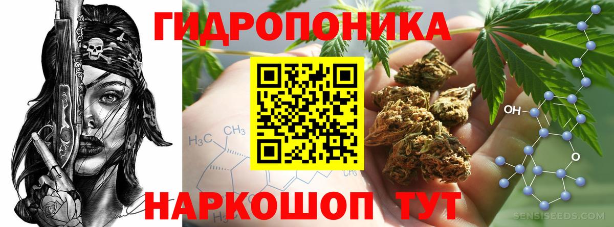 Марихуана планчик  МАРИХУАНА Amnesia  Шишки марихуана SATIVA & INDICA  Вход с VPN  Канабис гибрид  Архангельск 